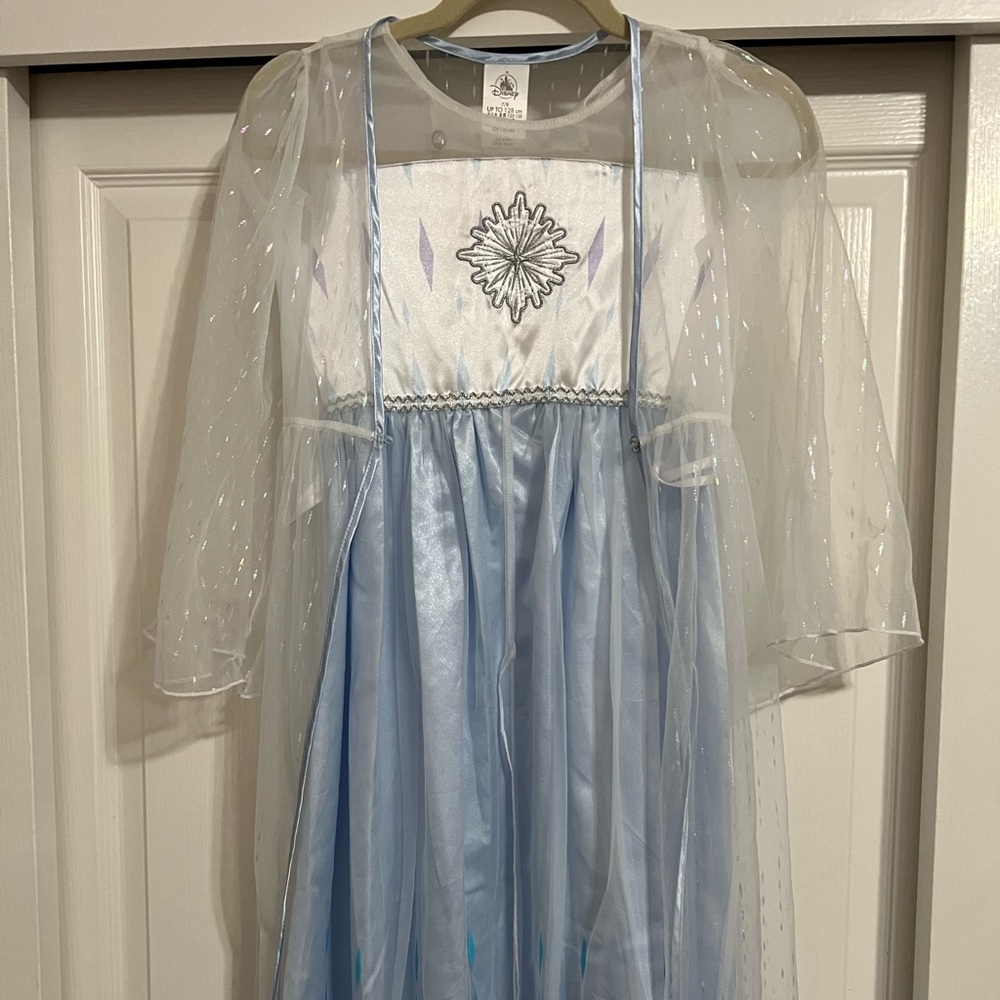 Disney Princess Costume